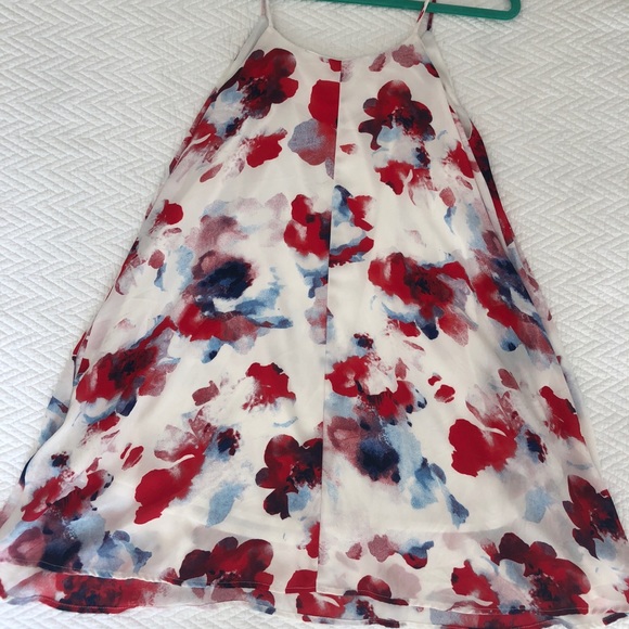 Red, White, and Blue Flowy Dress - Picture 4 of 5